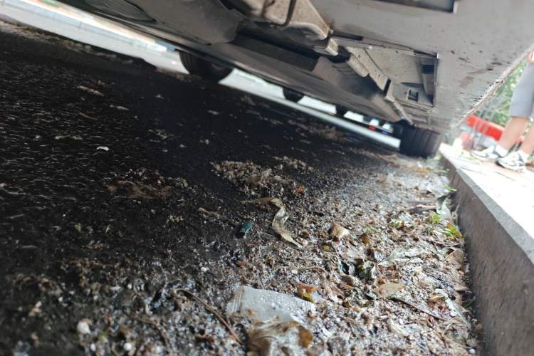 Used Toyota Corolla 2021 TNGA 1.5L CVT Elite Edition Chassis Rear Right
