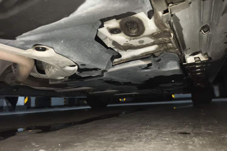 Used Toyota Corolla 2021 1.2T S-CVT Elite Edition Chassis Rear Right