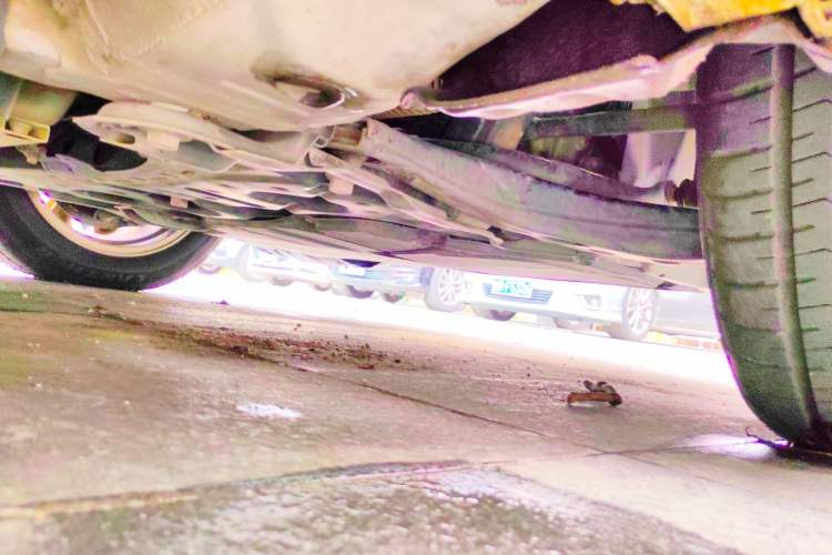 Used Toyota Corolla 2021 1.2T S-CVT Elite PLUS Edition Chassis Rear Right