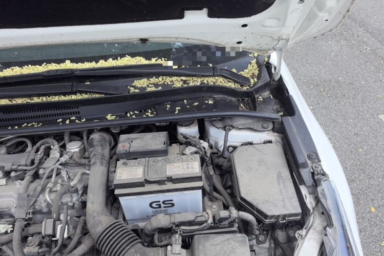 Used Toyota Corolla 2021 1.2T S-CVT Elite PLUS Edition Engine Bay Left