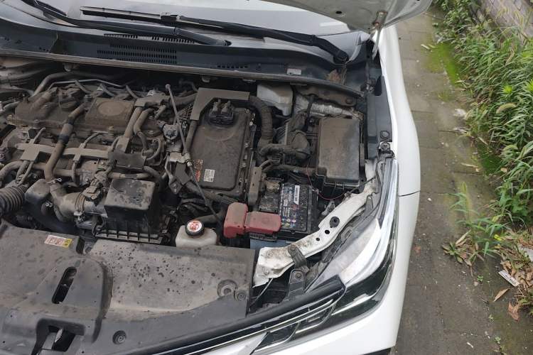 Used Toyota Corolla 2021 Dual-Engine 1.8L E-CVT Pioneer Edition Engine Bay Left