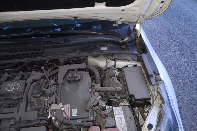 Used Toyota Corolla 2021 Dual-Motor 1.8L E-CVT Elite Edition Engine Bay Left