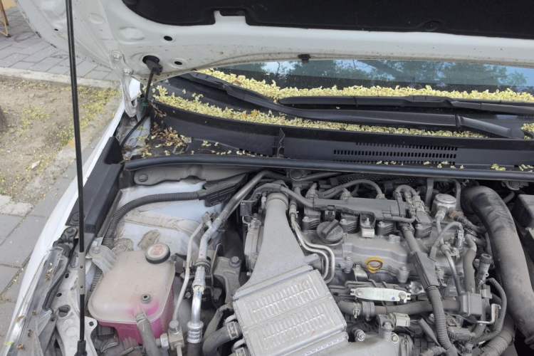 Used Toyota Corolla 2021 1.2T S-CVT Elite PLUS Edition Engine Bay Right