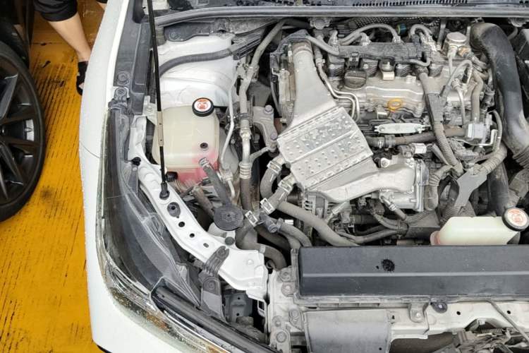 Used Toyota Corolla 2021 1.2T S-CVT Elite PLUS Edition Engine Bay Right