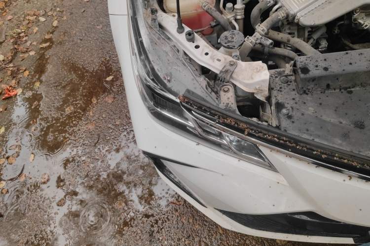 Used Toyota Corolla 2021 1.2T S-CVT Pioneer Edition Exterior 6