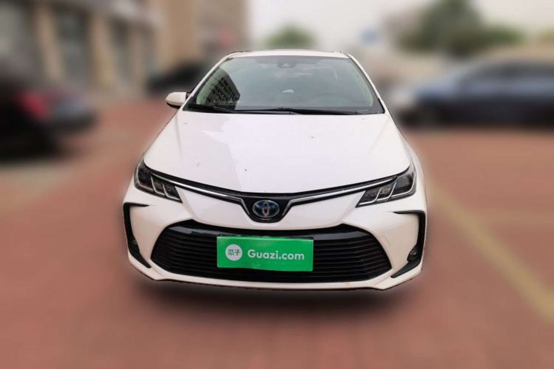 Used Toyota Corolla 2021 Dual-Motor 1.8L E-CVT Elite Edition Front