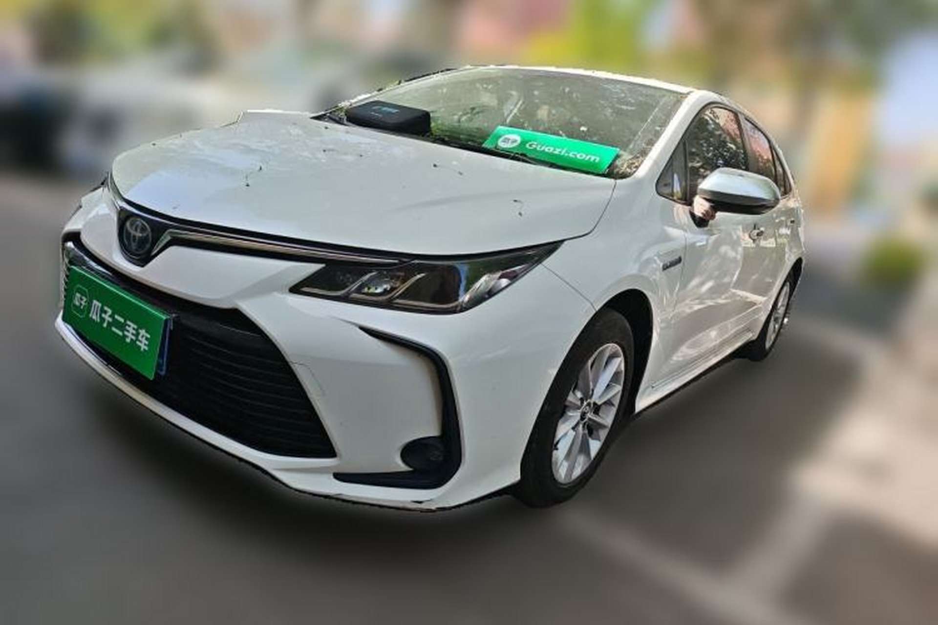 Used Toyota Corolla 2021 Dual-Motor 1.8L E-CVT Elite Edition Front Left 45 Deg