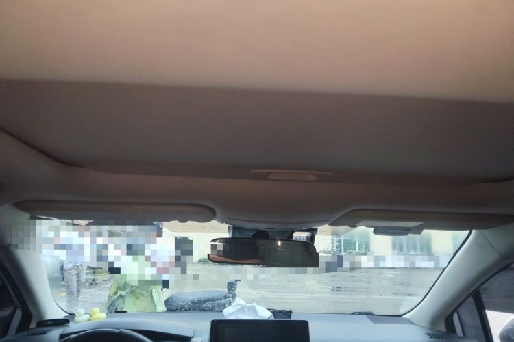 Used Toyota Corolla 2021 1.2T S-CVT Elite Edition Headliner
