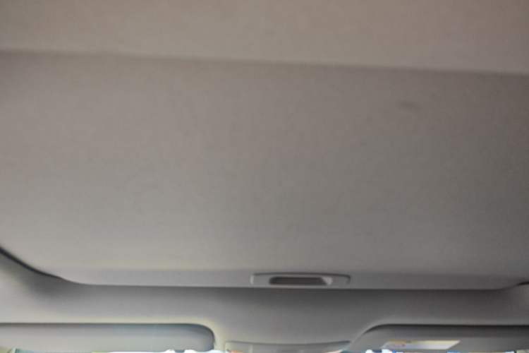 Used Toyota Corolla 2021 1.2T S-CVT Luxury Edition Headliner