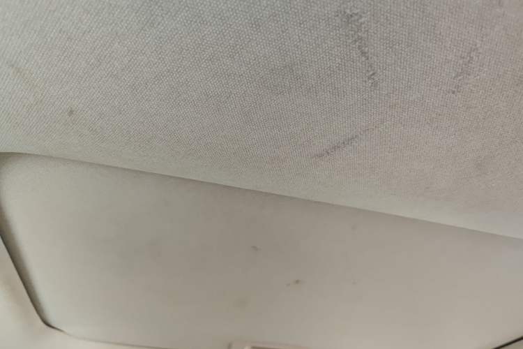 Used Toyota Corolla 2021 1.2T S-CVT Elite PLUS Edition Headliner