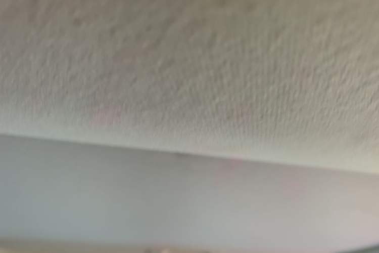 Used Toyota Corolla 2021 1.2T S-CVT Elite PLUS Edition Headliner