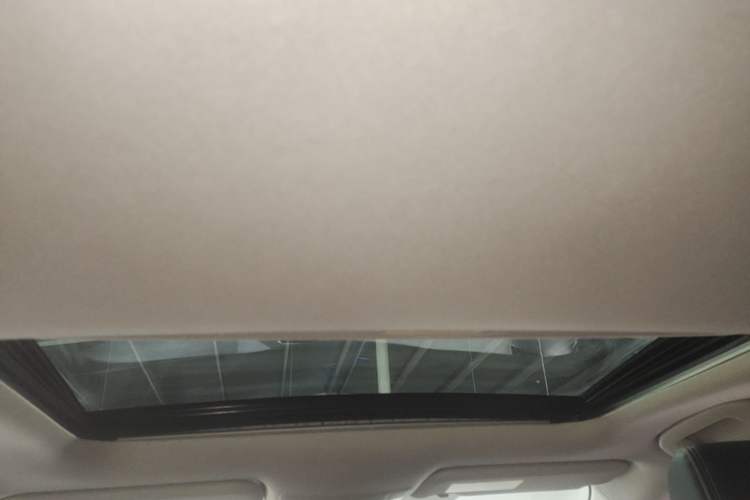 Used Toyota Corolla 2021 1.2T S-CVT Flagship Edition Headliner