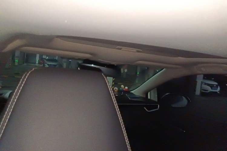 Used Toyota Corolla 2021 1.2T S-CVT Luxury Edition Headliner