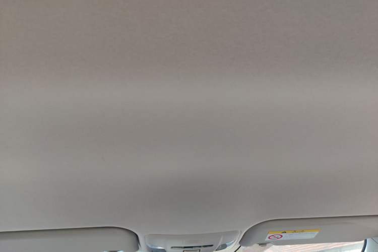 Used Toyota Corolla 2021 1.2T S-CVT Pioneer PLUS Edition Headliner