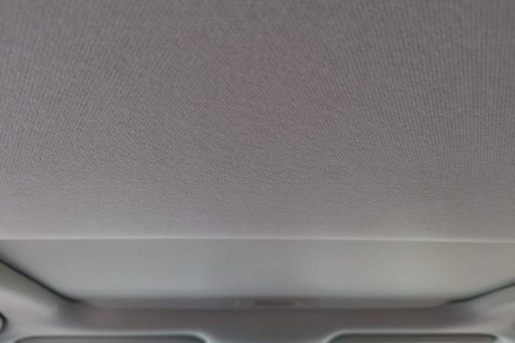 Used Toyota Corolla 2021 1.2T S-CVT Elite Edition Headliner