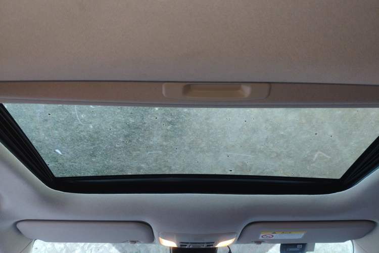 Used Toyota Corolla 2021 Dual-Motor 1.8L E-CVT Elite Edition Headliner
