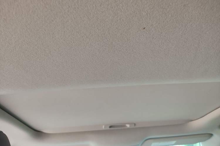 Used Toyota Corolla 2021 Dual-Motor 1.8L E-CVT Elite Edition Headliner