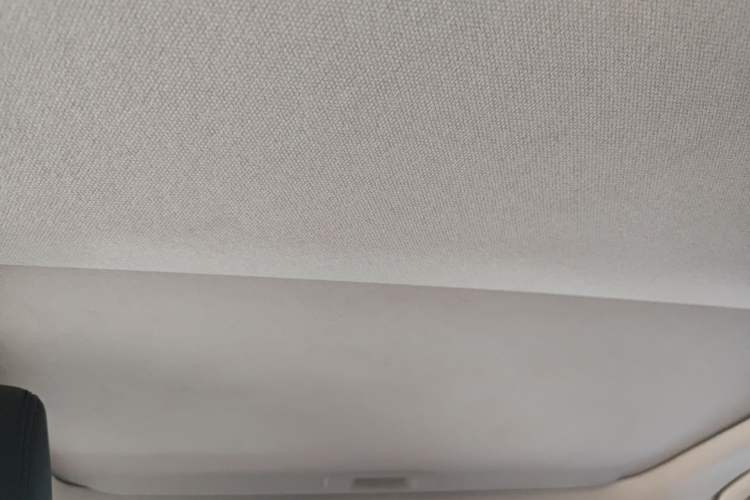 Used Toyota Corolla 2021 1.2T S-CVT Elite PLUS Edition Headliner
