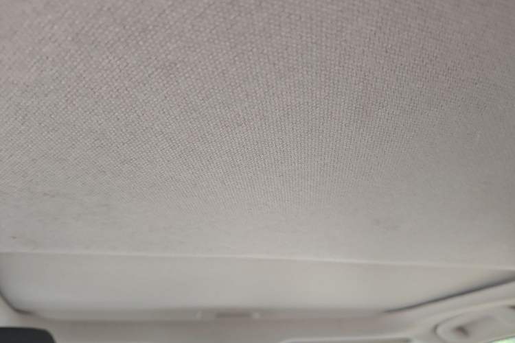 Used Toyota Corolla 2021 1.2T S-CVT Elite Edition Headliner