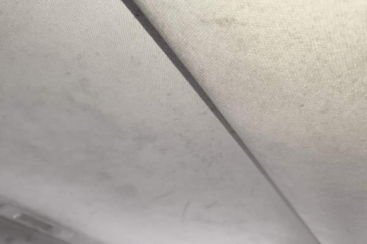 Used Toyota Corolla 2021 Dual-Motor 1.8L E-CVT Elite Edition Headliner