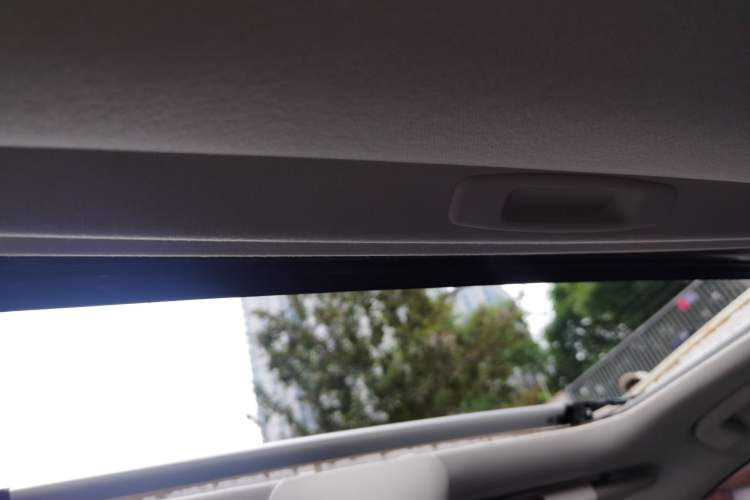 Used Toyota Corolla 2021 1.2T S-CVT Luxury Edition Headliner