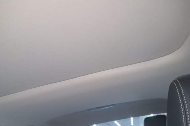 Used Toyota Corolla 2021 1.2T S-CVT Luxury Edition Headliner