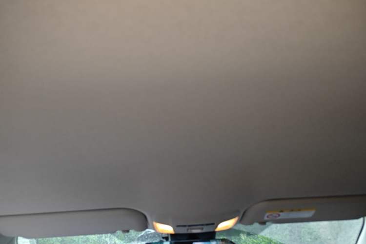Used Toyota Corolla 2021 1.2T S-CVT Pioneer PLUS Edition Headliner