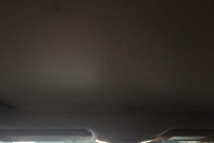 Used Toyota Corolla 2021 1.2T S-CVT Elite PLUS Edition Headliner