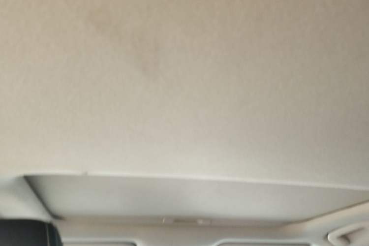 Used Toyota Corolla 2021 1.2T S-CVT Elite PLUS Edition Headliner