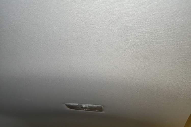 Used Toyota Corolla 2021 1.2T S-CVT Pioneer PLUS Edition Headliner