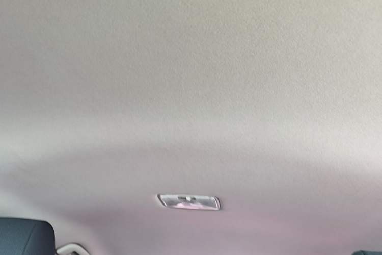 Used Toyota Corolla 2021 1.2T S-CVT Pioneer Edition Headliner