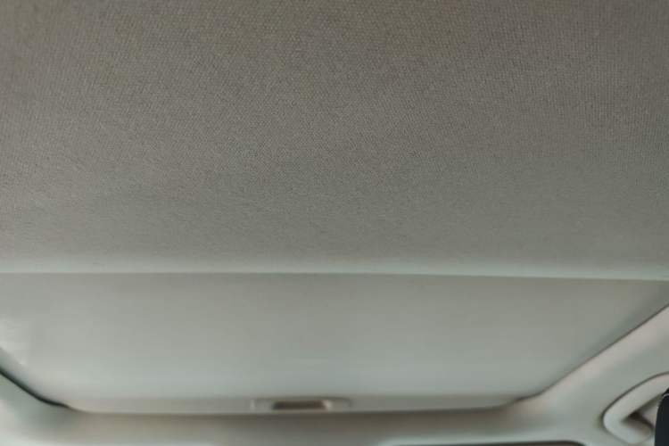 Used Toyota Corolla 2021 1.2T S-CVT Elite Edition Headliner