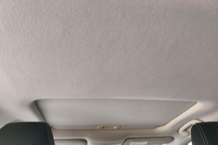 Used Toyota Corolla 2021 1.2T S-CVT Luxury Edition Headliner