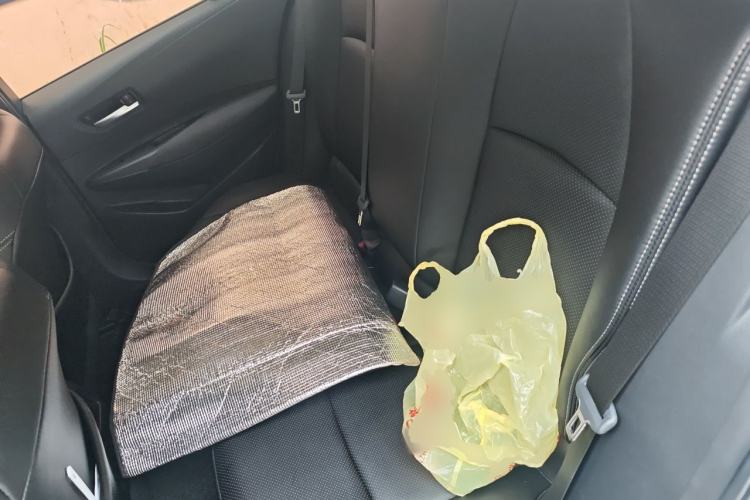 Used Toyota Corolla 2021 1.2T S-CVT Elite PLUS Edition Left Rear Seat