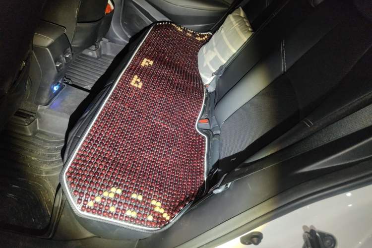 Used Toyota Corolla 2021 1.2T S-CVT Luxury Edition Left Rear Seat
