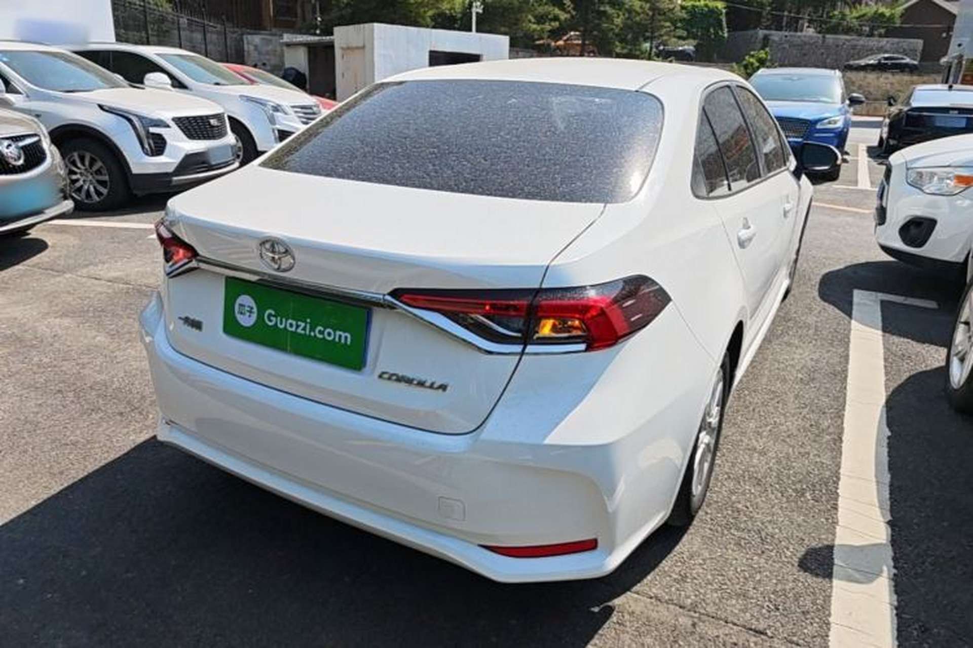 Used Toyota Corolla 2021 TNGA 1.5L CVT Elite Edition Rear Right 45 Deg