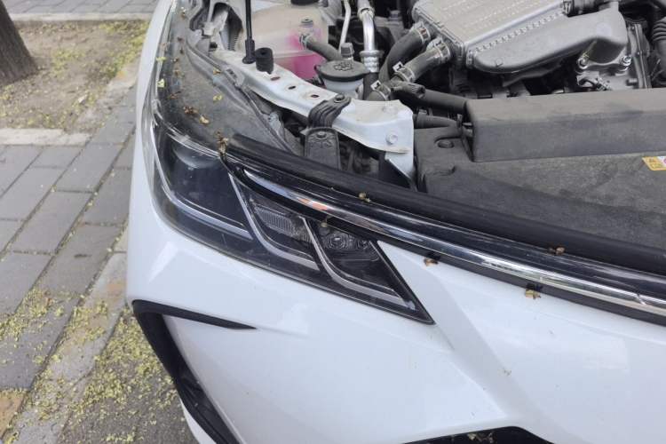 Used Toyota Corolla 2021 1.2T S-CVT Elite PLUS Edition Right Front Headlight