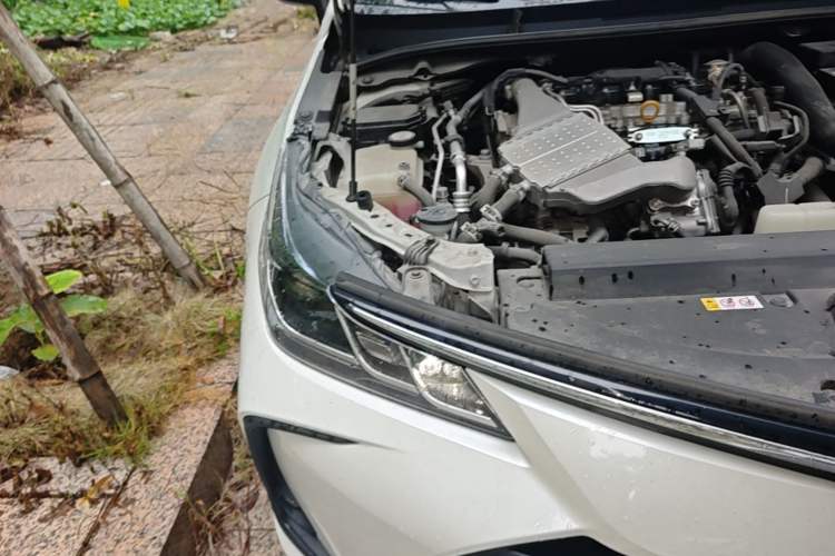 Used Toyota Corolla 2021 1.2T S-CVT Luxury Edition Right Front Headlight