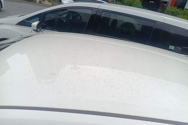 Used Toyota Corolla 2021 1.2T S-CVT Pioneer PLUS Edition Roof