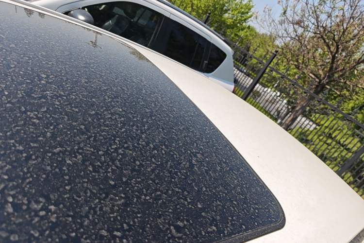 Used Toyota Corolla 2021 TNGA 1.5L CVT Elite Edition Roof