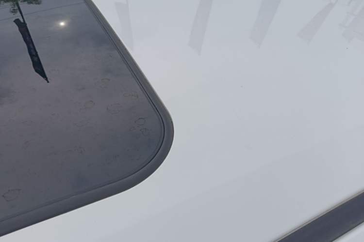 Used Toyota Corolla 2021 1.2T S-CVT Elite Edition Roof