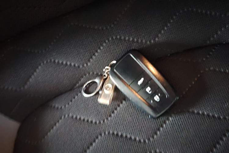 Used Toyota Corolla 2021 1.2T S-CVT Pioneer PLUS Edition Vehicle Key