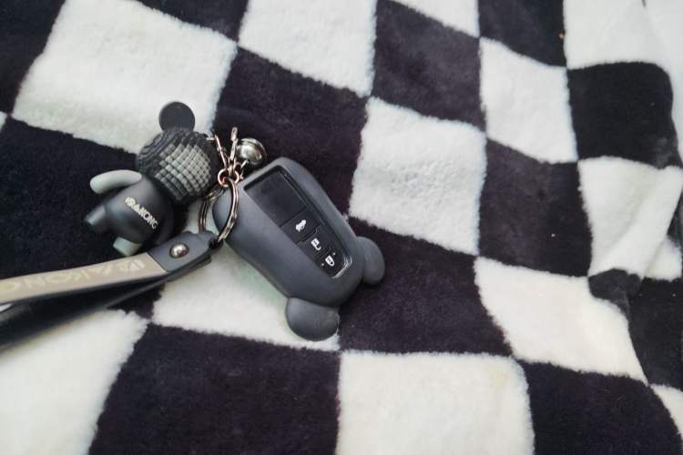 Used Toyota Corolla 2021 TNGA 1.5L CVT Elite Edition Vehicle Key
