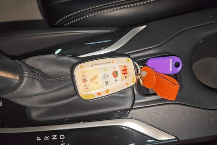 Used Toyota Corolla 2021 1.2T S-CVT Elite Edition Vehicle Key