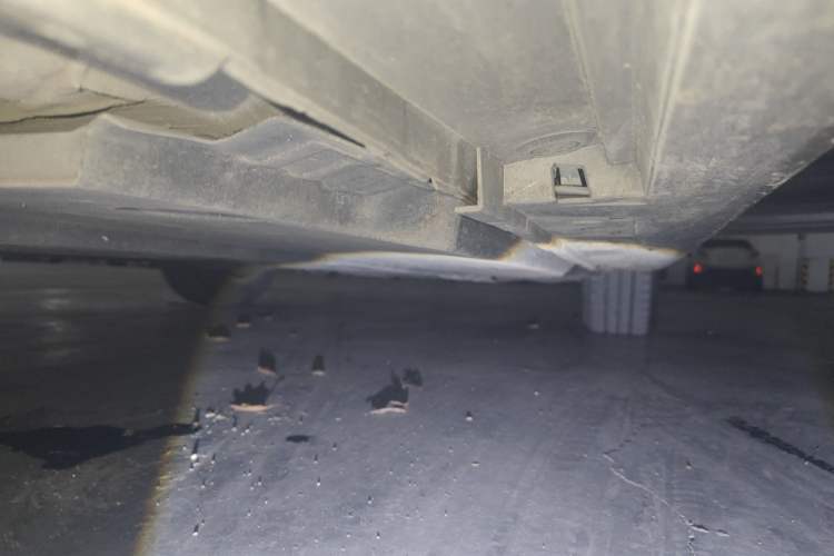 Used Toyota Corolla 2022 1.2T S-CVT Pioneer PLUS Edition Right Side Sill