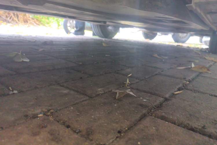 Used Toyota Corolla 2022 1.2T S-CVT Pioneer PLUS Edition Chassis Front Left