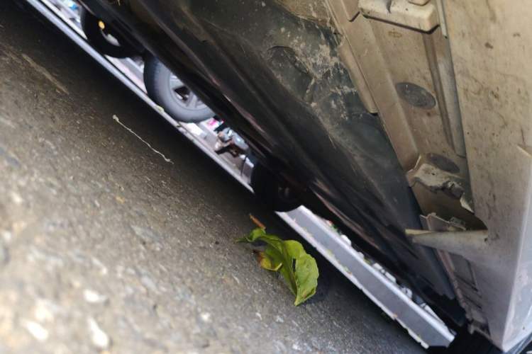 Used Toyota Corolla 2022 1.2T S-CVT Pioneer PLUS Edition Chassis Front Left