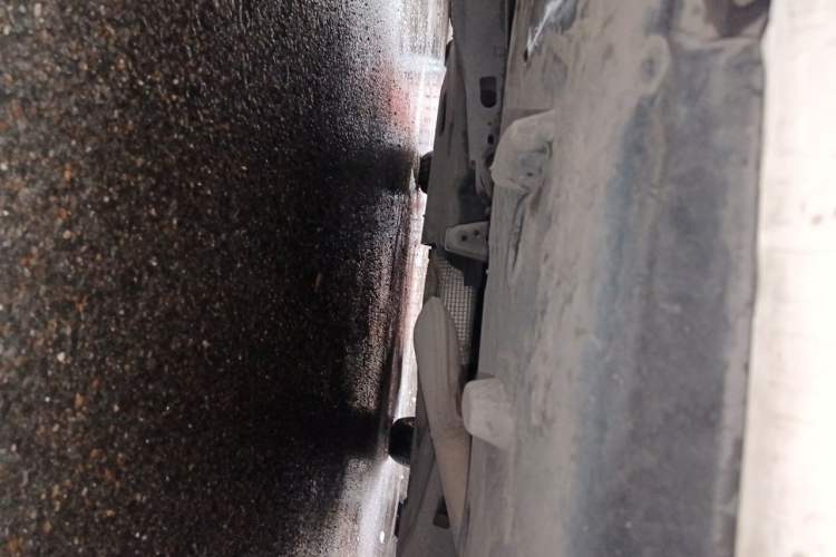 Used Toyota Corolla 2022 1.2T S-CVT Pioneer PLUS Edition Chassis Rear