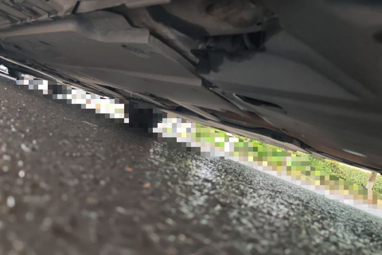 Used Toyota Corolla 2022 1.2T S-CVT Pioneer PLUS Edition Chassis Rear Left