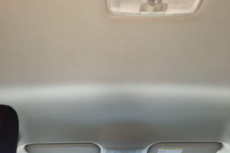 Used Toyota Corolla 2022 1.2T S-CVT Pioneer PLUS Edition Headliner